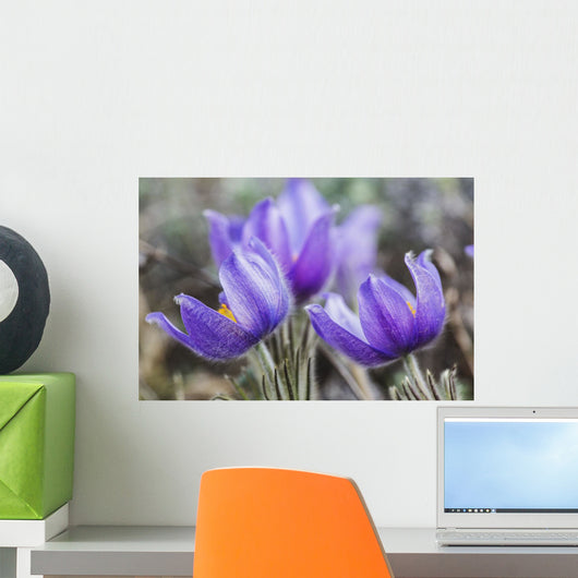 Crocus Wall Mural