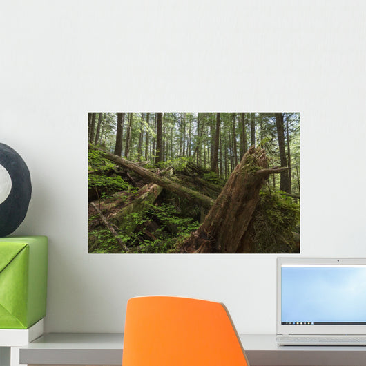 Avatar Grove Wall Mural