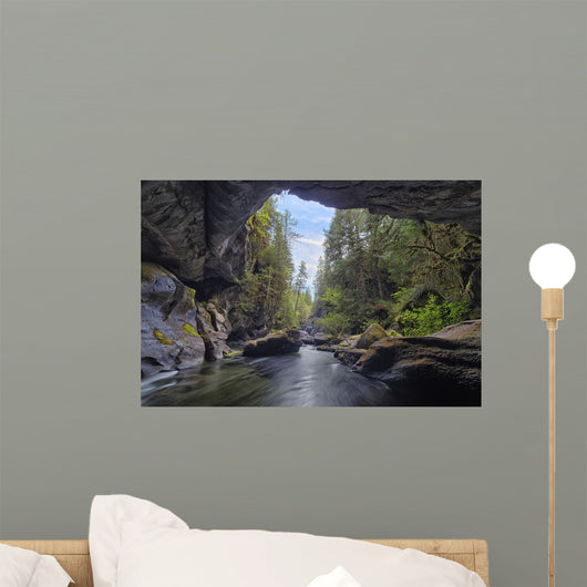 Little Huson Caves, near Woss Wall Mural