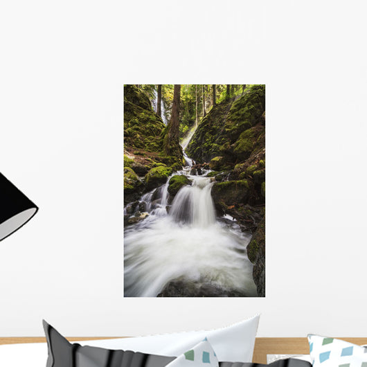 Lupin Falls, Strathcona Provincial Park Wall Mural