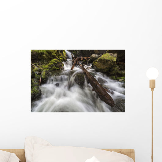 Lupin Falls, Strathcona Provincial Park Wall Mural