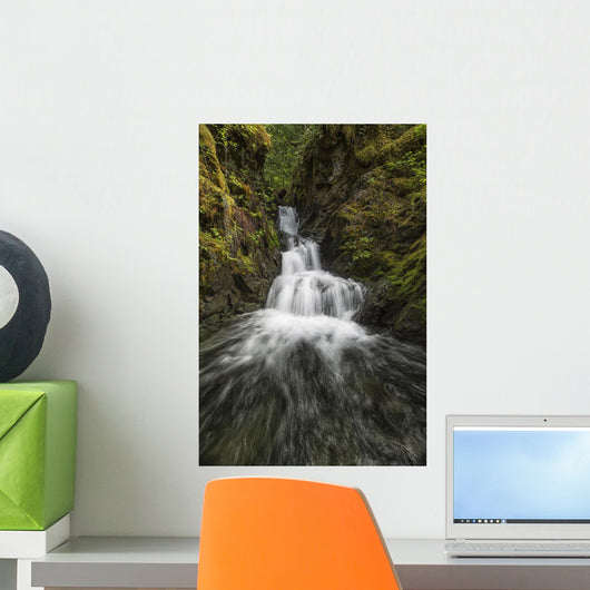 Unnamed stream and waterfall, Strathcona Provincial Park Wall Mural
