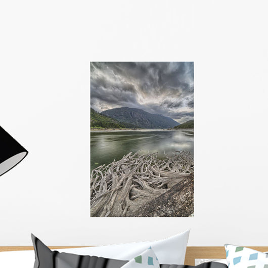 Roots Wall Mural