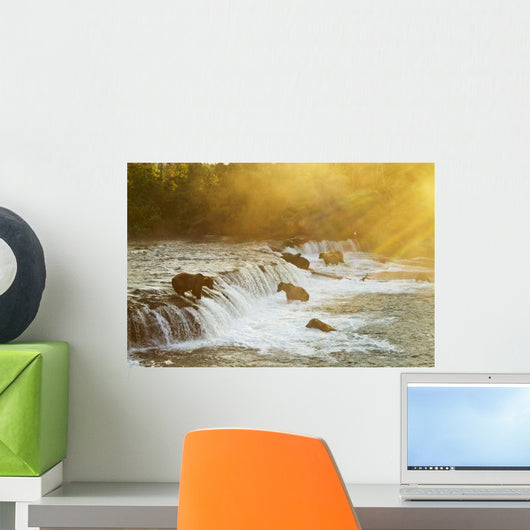 Brown bears gathered at Brooks Falls to fish for salmon Wall Mural