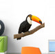 Toucan