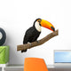 Toucan