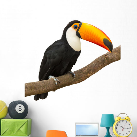 Toucan