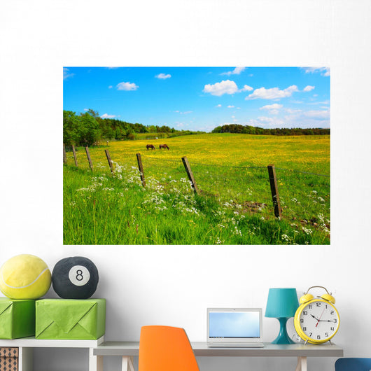 Two Horses Spring Meadow
