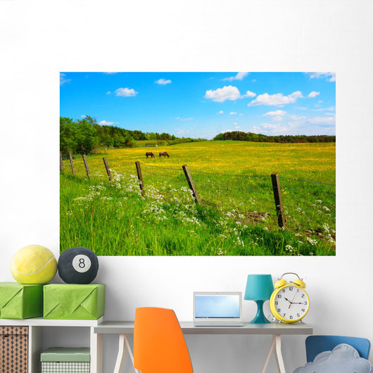 Two Horses Spring Meadow