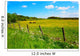 Two Horses Spring Meadow