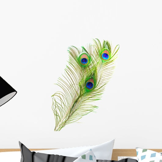 Peacock Feathers