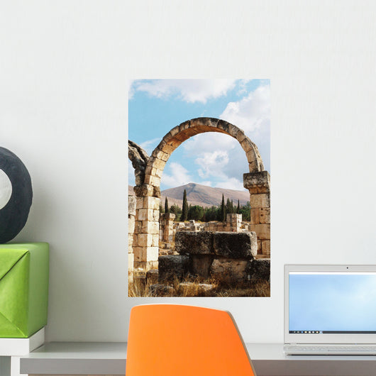 Ruins Wall Mural