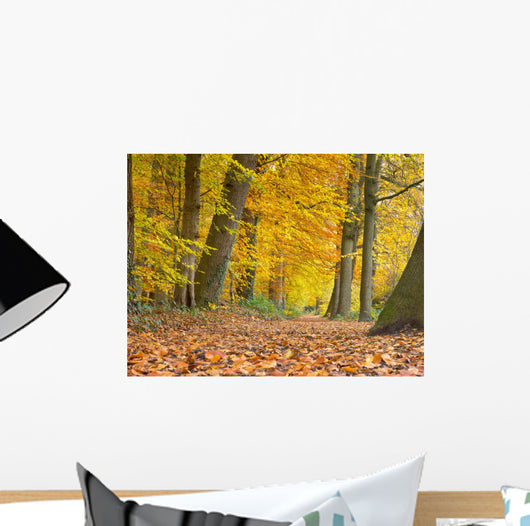 Yellow Foliage Birch Trees