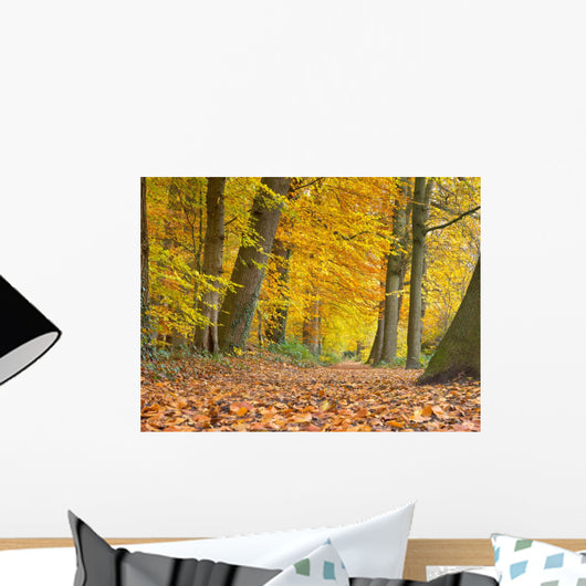 Yellow Foliage Birch Trees