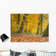 Yellow Foliage Birch Trees