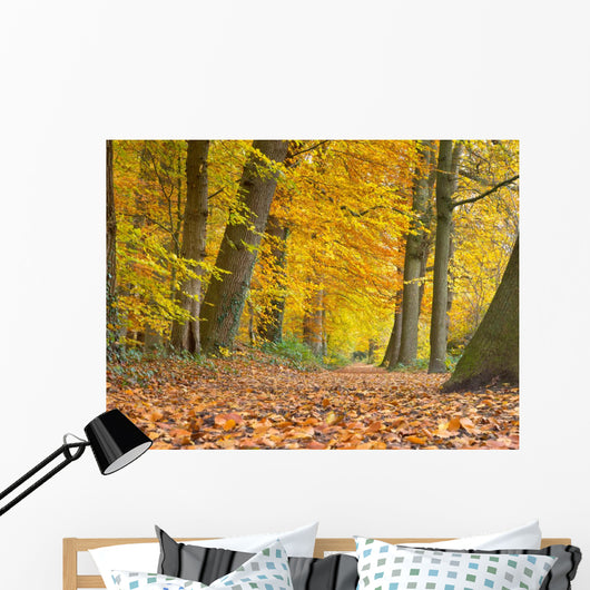 Yellow Foliage Birch Trees