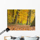 Yellow Foliage Birch Trees