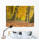 Yellow Foliage Birch Trees
