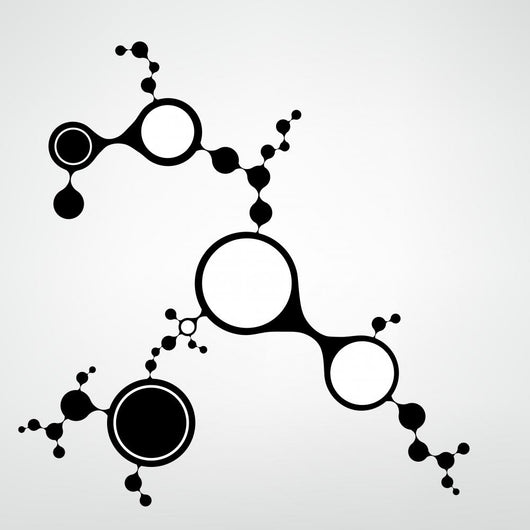 Dna Molecule Structure