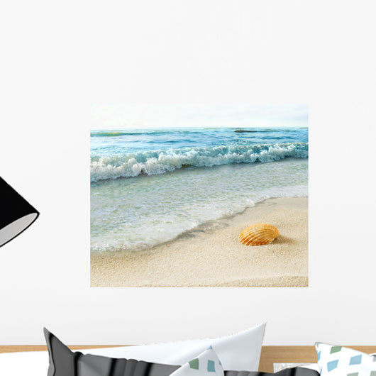 Shell Beach