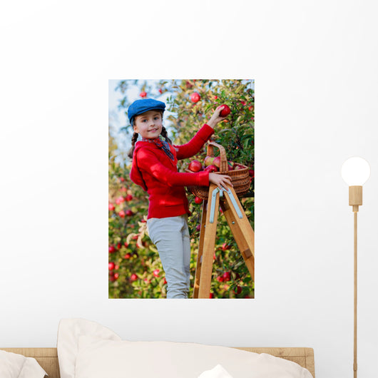 Orchard Young Girl Picking