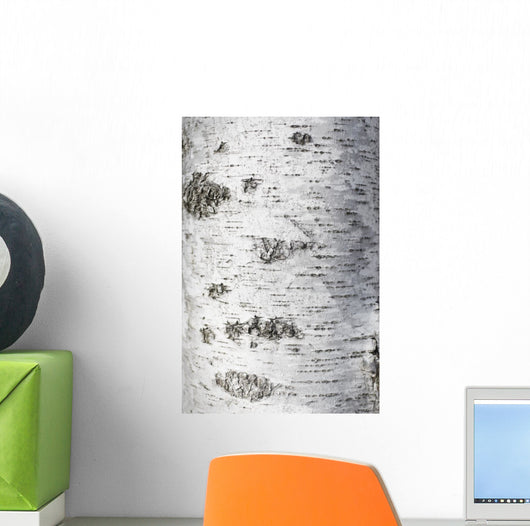 Birch Bark Texture Wall Mural