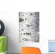 Birch Bark Texture Wall Mural