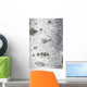 Birch Bark Texture Wall Mural