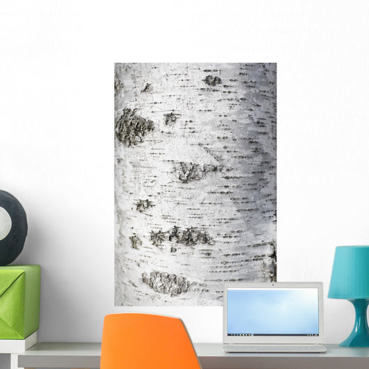 Birch Bark Texture Wall Mural