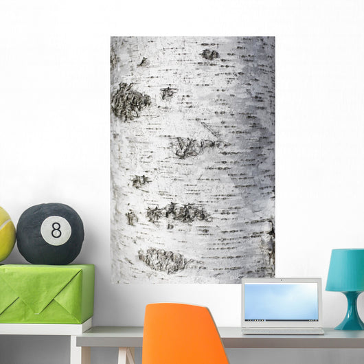 Birch Bark Texture Wall Mural