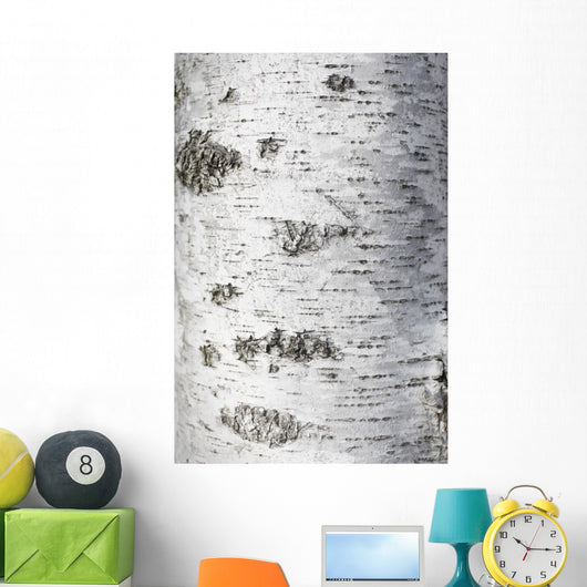Birch Bark Texture Wall Mural