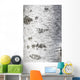Birch Bark Texture Wall Mural