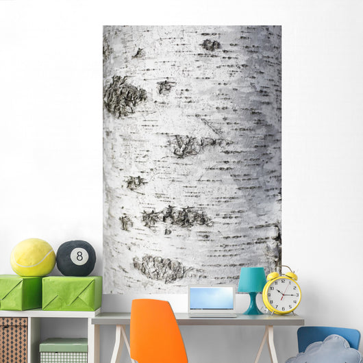 Birch Bark Texture Wall Mural