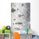 Birch Bark Texture Wall Mural