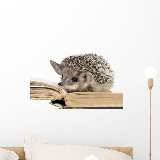 cute hedgehogs read book Wall Decal