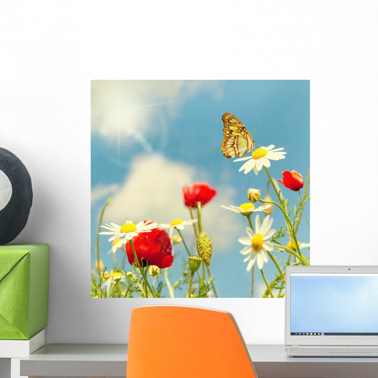 Meadow Summer