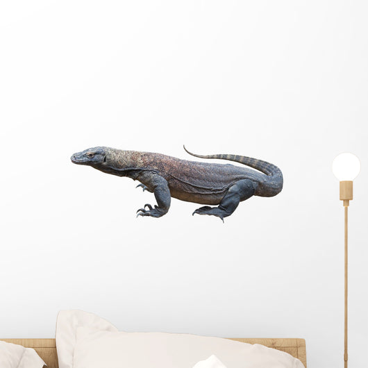 Komodo Dragon Wall Decal