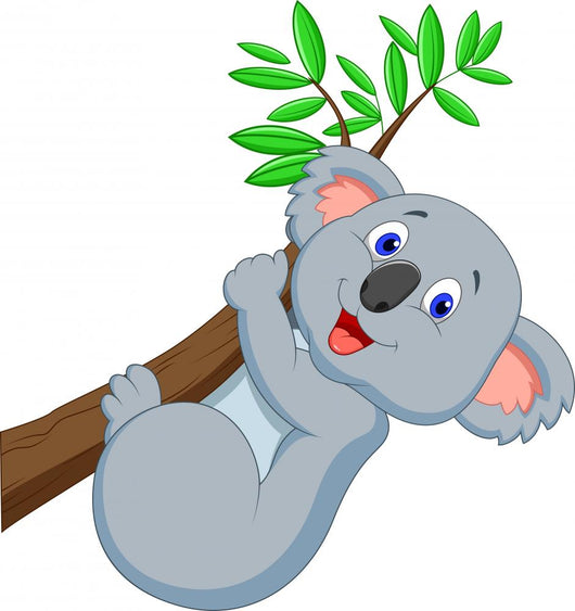 Cute Koala