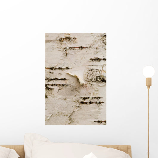 Birch