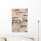 Birch