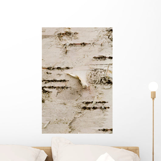 Birch