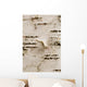 Birch