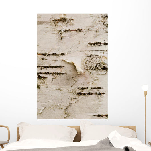Birch