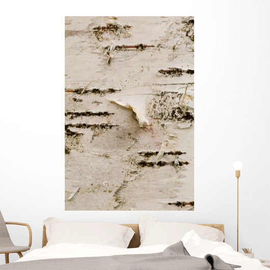 Birch