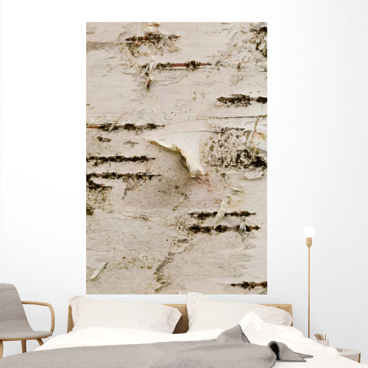 Birch