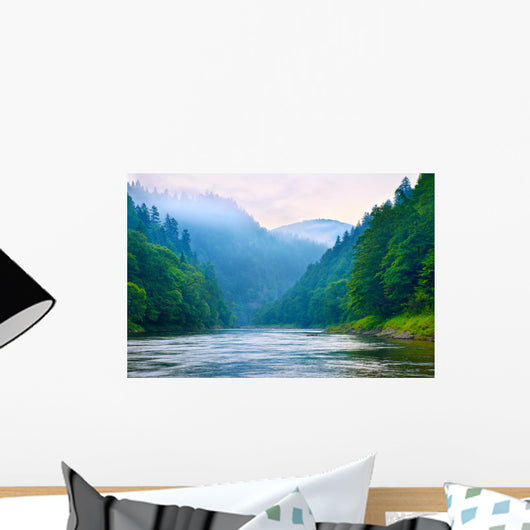 The gorge of mountain river in the morning Wall Mural