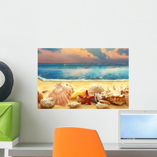 Seashells Sandy Beach
