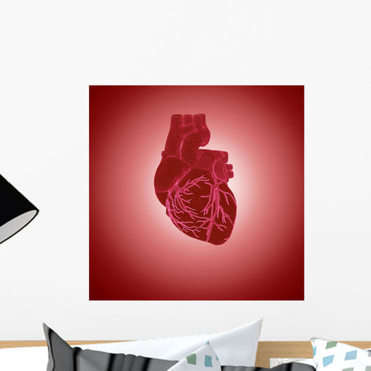 Human Heart