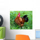 Rooster