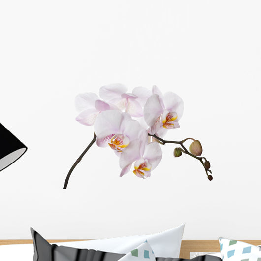 white orchid branch Wall Decal